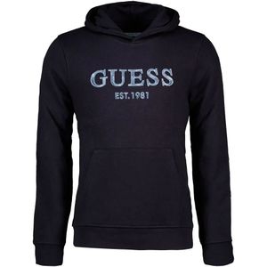 Guess - Beau Hoodie - Herenhoodie - Zwart