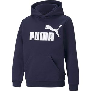 Puma Essentials Big Logo Fl Sweatshirt Blauw 9-10 Years