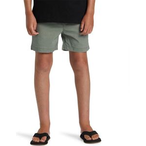 Quiksilver Taxer Korte Broek