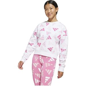 Adidas Seasonal Essentials Logo Celebration Fleece Sweatshirt