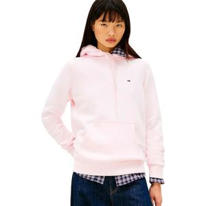 Tommy Jeans Dw0dw19958 Hoodie