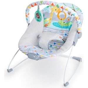 Bright Starts Safari Fun Hammock Veelkleurig