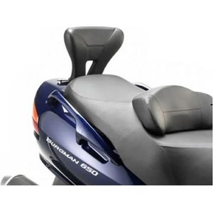Givi Tb529 Suzuki Burgman Executive Rugleuning