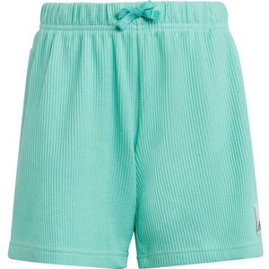 Adidas L Knit Shorts Groen 7-8 Years
