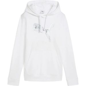 Puma Select Ess Metallic Regular Fit Hoodie