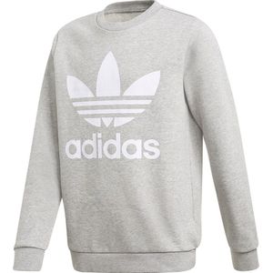 Adidas Originals Trefoil Crew Sweatshirt Grijs 9-10 Years Jongen