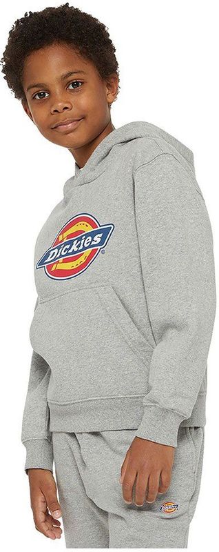 Dickies Youth Logo Hoodie