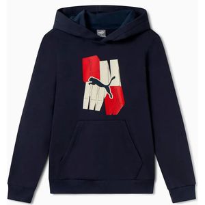 Puma Ess+ Graphic Hoodie