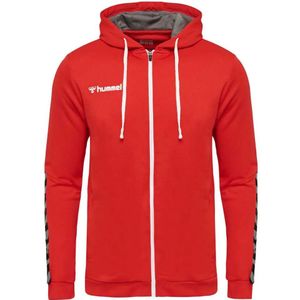 Hummel - hmlAUTHENTIC - Hoodie - Polyester
