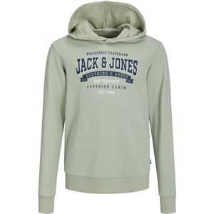 Jack & Jones Logo 2 Col 24 Hoodie Groen 16 Years Jongen