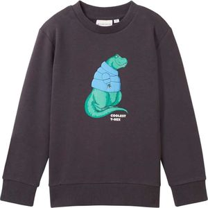 Tom Tailor 1039160 Special Artwork Sweatshirt