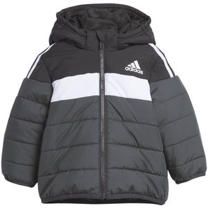 Adidas In F Pad Jacket Zwart,Grijs 6-9 Months