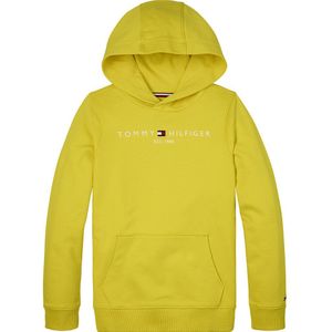 Tommy Hilfiger Essential Cotton Hoodie