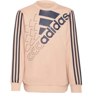Adidas - Logo Sweatshirt - Oranje - Jongens/Meisjes