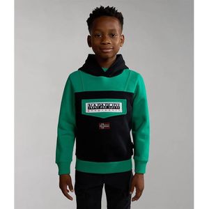 Napapijri Burgee W 2 Sweatshirt