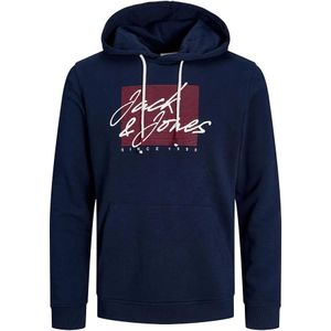 Jack & Jones 12254870 Zuri Hoodie