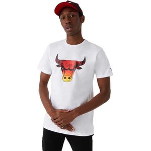 New Era Summer City Infill Chicago Bulls Short Sleeve T-shirt Wit XL Man