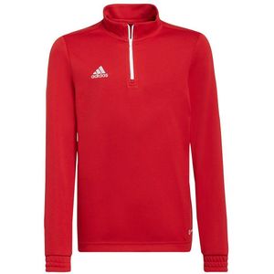 Adidas Entrada 22 Training Sweatshirt Rood 15-16 Years