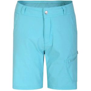 Dare2b Reprise Ii Korte Broek