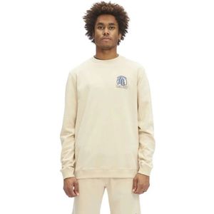 Hydroponic Dragon Ball Z Comic Sweatshirt