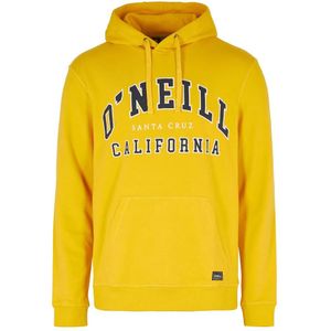 O´neill Surf State Hoodie