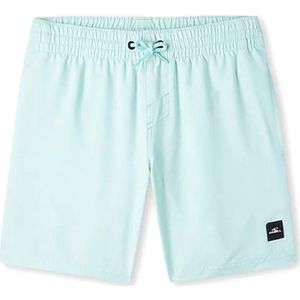 O´neill Future Surf Society 14´´ Zwembroek