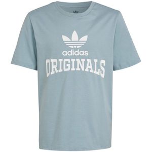 Adidas Originals Graphic Short Sleeve T-shirt Blauw 11-12 Years Jongen
