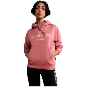 Napapijri B-orellana Hoodie