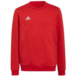 Adidas Performance Junior Sweater Rood