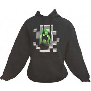 Minecraft trui hotsell