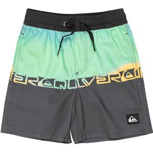 Quiksilver Everyday Straight Vly 12 Zwembroek