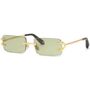 Roberto Cavalli Src023 Photochromic Sunglasses Goud Green / CAT1 Man