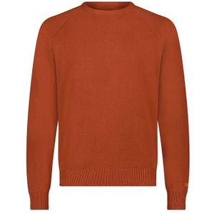 Lee - Clean Raglan - Trui - Sweet Maple - 100% Katoen