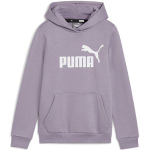 Puma Ess Logo Hoodie