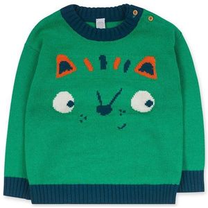 Tuc Tuc Trecking Time Sweater Groen 24 Months