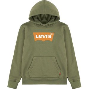 Levi´s ® Kids Batwing Screeenprint Hoodie