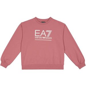 EA7 - 7G000103_AF13135 - Sweater - Roze - Lange Mouwen - Casual
