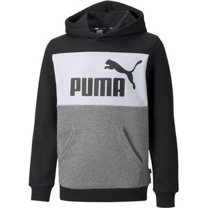 Puma Essentials+ Colorblock Fl Sweatshirt Grijs 9-10 Years