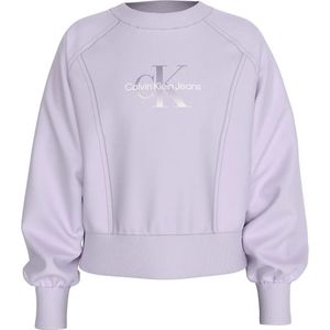 Sweater - Pastel Lilac - Sweatstof - Voor Kinderen Tot 16 Jaar