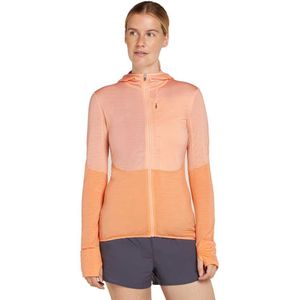 Icebreaker Merino 200 Realfleece Descender Sweatshirt Met Rits