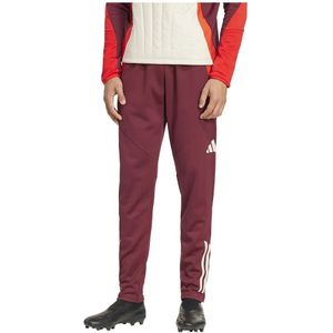 Adidas - FC Bayern Munich 24/25 - Trainingsbroek - Winterized