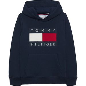 Tommy Hilfiger Kids Heritage Flag Hoodie