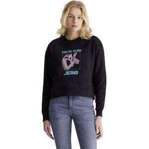 Calvin Klein Jeans Hyper Real Sweatshirt Zwart L Vrouw