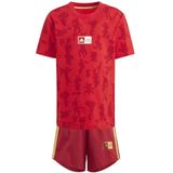 adidas - Disney 100 Set - T-shirtset - Zacht - Kinderen