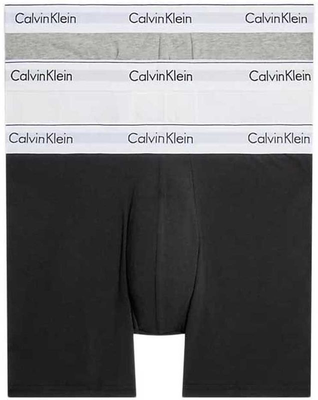 Calvin Klein 000nb2381a Slips 3 Eenheden