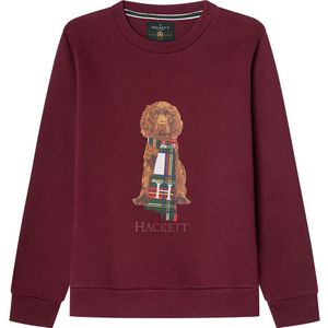 Hackett Londonvoor jongens. HK5800016 Harry kastanjebruine sweater (3Años= 97cm), Casual, Granaatappel, Katoen, Polyester, kinderkleding