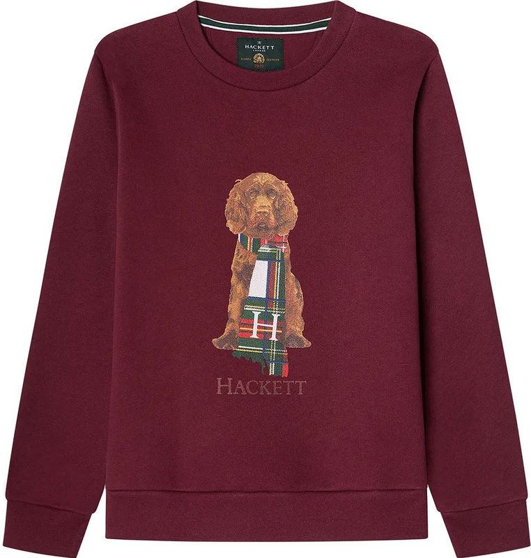 Hackett Londonvoor jongens. HK5800016 Harry kastanjebruine sweater (3Años= 97cm), Casual, Granaatappel, Katoen, Polyester, kinderkleding