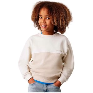 Calvin Klein Ib0ib02470 Sweatshirt