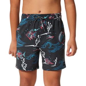 Rip Curl Party Pack Volley Swimming Shorts Blauw 14 Years Jongen