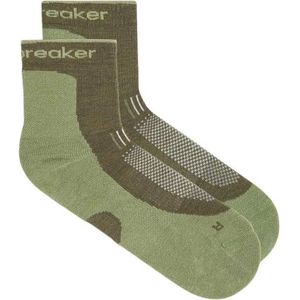 Icebreaker Merino Hike+ Light Mini Sokken